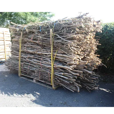 Haselnuss-Reisigbündel Haselnuss-Reisigbündel